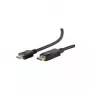 Przejściówka kabla wideo ShiverPeaks BS77490-2 1m DisplayPort HDMI Typ A
