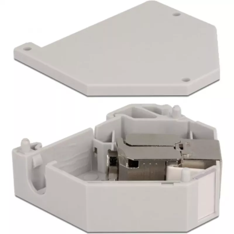 Delock - Modularadapter - DIN rail-mountable - CAT 6a - STP - szary - 1 Connector (86014)