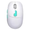 Mysz Defender NITTA MM-307 RF+BT OPTYCZNA 1600dpi 6P BIAŁA