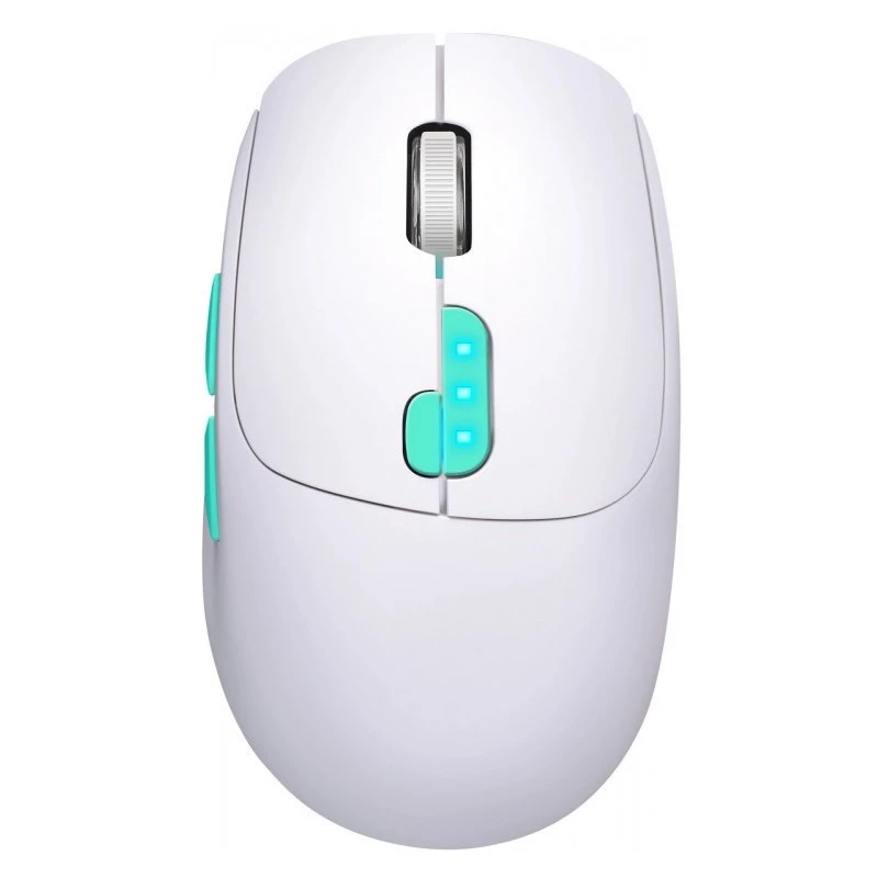 Mysz Defender NITTA MM-307 RF+BT OPTYCZNA 1600dpi 6P BIAŁA