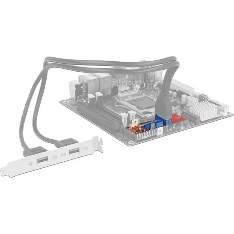 Delock Konwerter M.2 Key B+M męski > 2 x USB 3.0 Pin Header - Adapter USB - Karta M.2 - USB 3.0 (wewnętrzny) x 2 (62843)