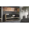 Cama RTV PORTO 2D Szafka 150x38x50 dąb/czarny