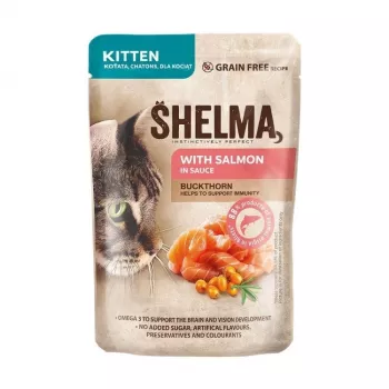 SHELMA Kociak z łososiem w sosie - mokra karma dla kota - 85 g
