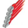 Kabel sieciowy S/CONN czerwony Cat6 S/FTP 0,5 m