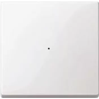 Merten MEG5210-0419 Płytka ścienna/Osłona przełącznika Biały (MEG5210-0419)