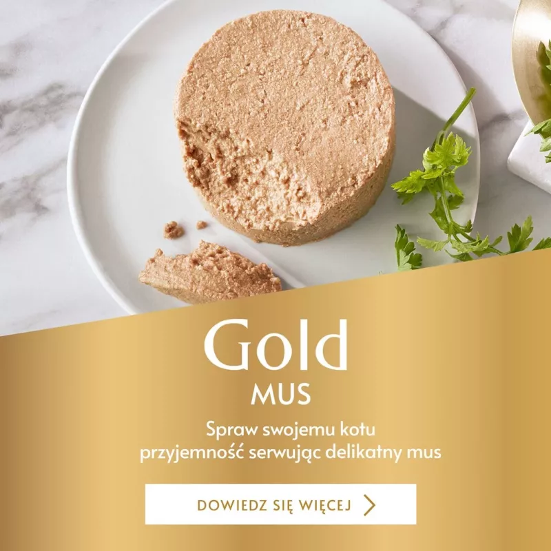 Purina Nestle Gourmet Gold - łosoś i kurczak - mokra karma dla kota - 85 g