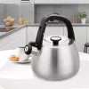 Czajnik Maestro MR-1318 2,5 l Srebrny, Czarny