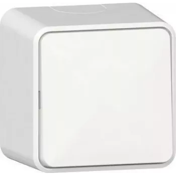 GIRA Rocker Switch 310613 switch AP pure biały (310613)