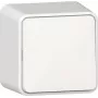 GIRA Rocker Switch 310613 switch AP pure biały (310613)