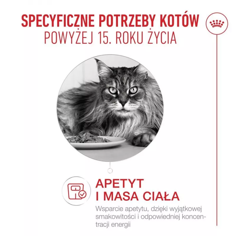 Sucha karma dla kota Royal Canin FHN Cat Ageing 15+ 2 kg — dla kotów seniorów od 15 roku życia, smak drobiowy, 31% białka