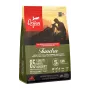 ORIJEN Tundra - sucha karma dla psa - 2 kg