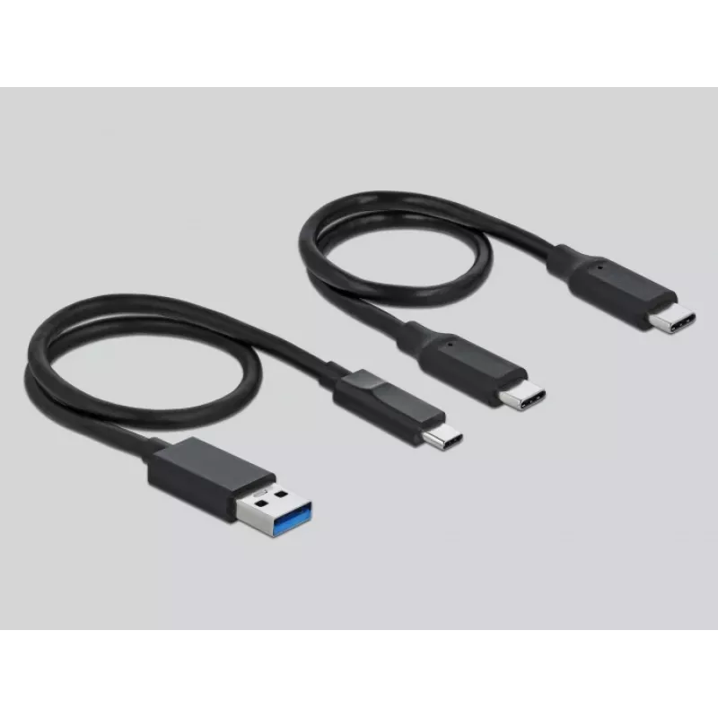 Czytnik kart DeLOCK USB Type-C dla CFast SD + Hub USB