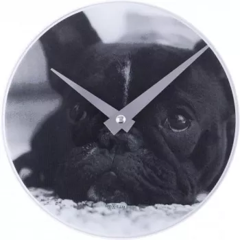 NeXtime zegar 5173 Little Dog, Ø20 cm, ścienny, czarny