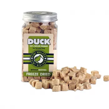 Przysmaki treningowe dla kotów i psów john dog KIWI WALKER FDT-372 Duck 80 g — bezzbożowe, białko 64,7%, bez glutenu i soi