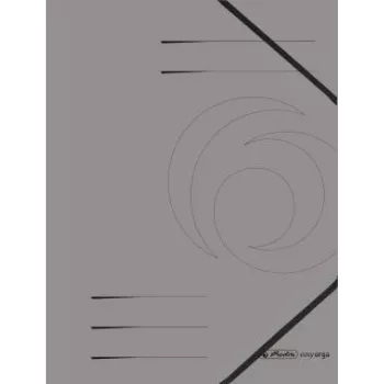 Folder Herlitz 11159670 szary A4