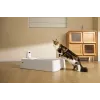 Samooczyszczająca kuweta dla kota PETKIT T7-EU, biała
