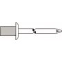 Nit zrywalny GESIPA 4×8,0 mm Al/A2 CAP Standard, 500 szt.