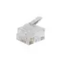 ShiverPeaks RJ12 - RJ12 - Transparent - Gold
