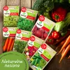 Zestaw nasion Toraf Summer Flavors - 7 opakowań