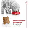 ROYAL CANIN Adult Mini S - sucha karma dla psów - 2kg