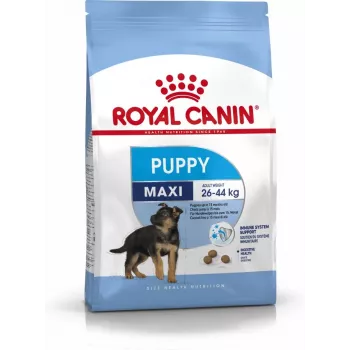 Royal Canin SHN Maxi Puppy - sucha karma dla szczeniąt - 4 kg