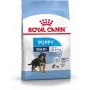Royal Canin SHN Maxi Puppy - sucha karma dla szczeniąt - 4 kg