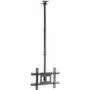 Vision Techmount VFM-C6X4/V2 - Zestaw montażowy (uchwyt sufitowy) do wyświetlacza LCD (rozsuwany) - Stal - Czarny - Rozmiar ekranu: 94-190,5 cm (37-75 inch)