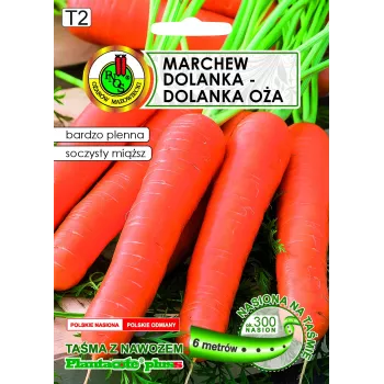Taśma Apte Marchew Dolanka 6 m z nawozem Platnacote — odmiana późna