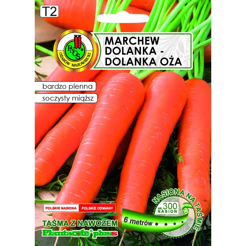 Taśma Apte Marchew Dolanka 6 m z nawozem Platnacote — odmiana późna
