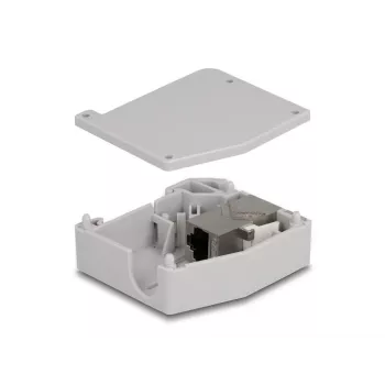 DeLOCK Adapter na szynę DIN Gniazdo RJ45 na gniazdo RJ45 Kat.6A Szary