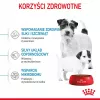 Sucha karma dla psa Royal Canin Starter Mother & Babydog 1 kg — kurczak, 30% białka, 22% tłuszczu