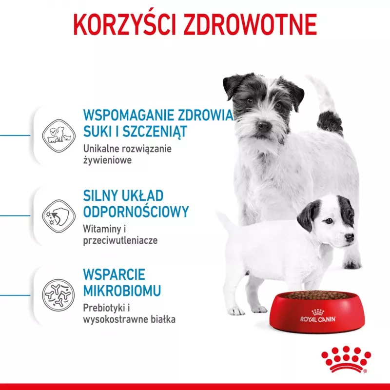 Sucha karma dla psa Royal Canin Starter Mother & Babydog 1 kg — kurczak, 30% białka, 22% tłuszczu