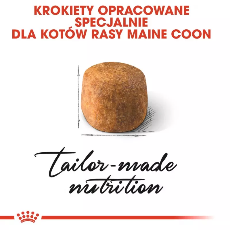Sucha karma dla kota Royal Canin Maine Coon Adult 10 kg — drób (kurczak), 31% białka, 20% tłuszczu