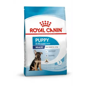 Sucha karma dla psa Royal Canin Maxi Puppy 15 kg — Large Breed Junior, Kurczak, 30% Białka, 16% Tłuszczu