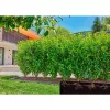 Gardena 13504-20 wąż ogrodowy 50 m Podziemny Czarny