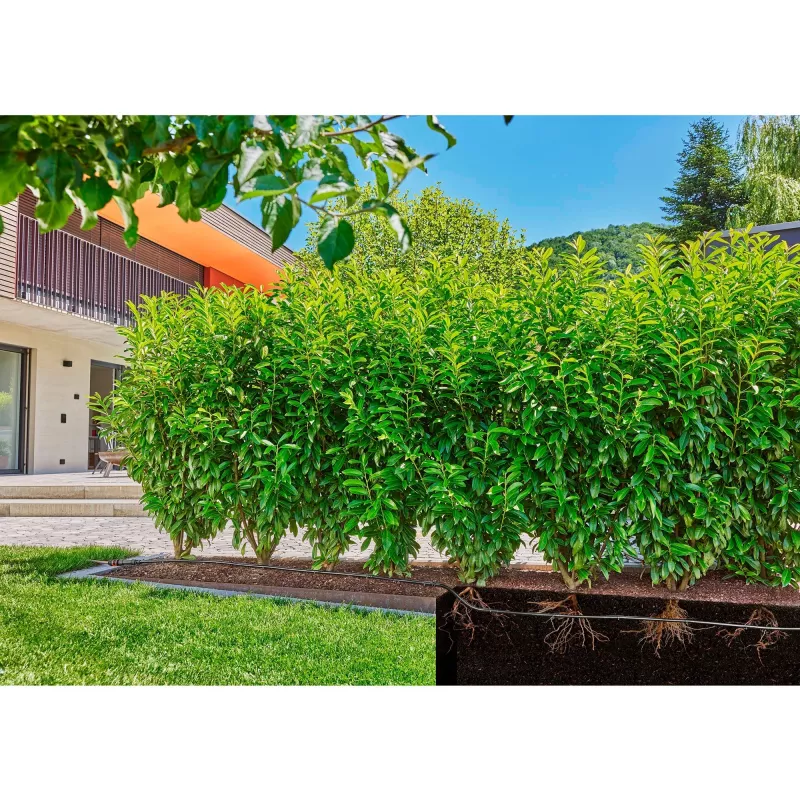 Gardena 13504-20 wąż ogrodowy 50 m Podziemny Czarny