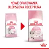 sucha karma dla kota Royal Canin Kitten 10 kg — kurczak, 36% białka, 18% tłuszczu, dla kociąt i kotek w ciąży/laktacji