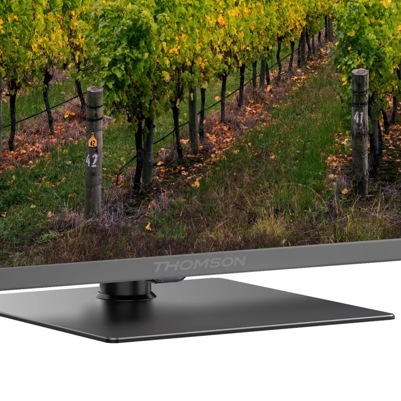 Telewizor|THOMSON|65 |4K Ultra HD|3840 x 2160 pikseli|Płaski|QLED|65QG5C14