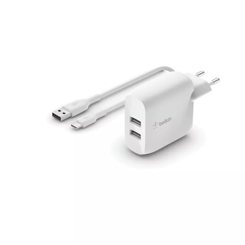 Ładowarka do urządzeń mobilnych Belkin WCE001VF1MWH