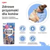Mokre przysmaki dla kota INABA Juicy Bites Kurczak i Tuńczyk 3 x 11 g saszetki, bezzbożowe, białko 24%, wilgotność 71%