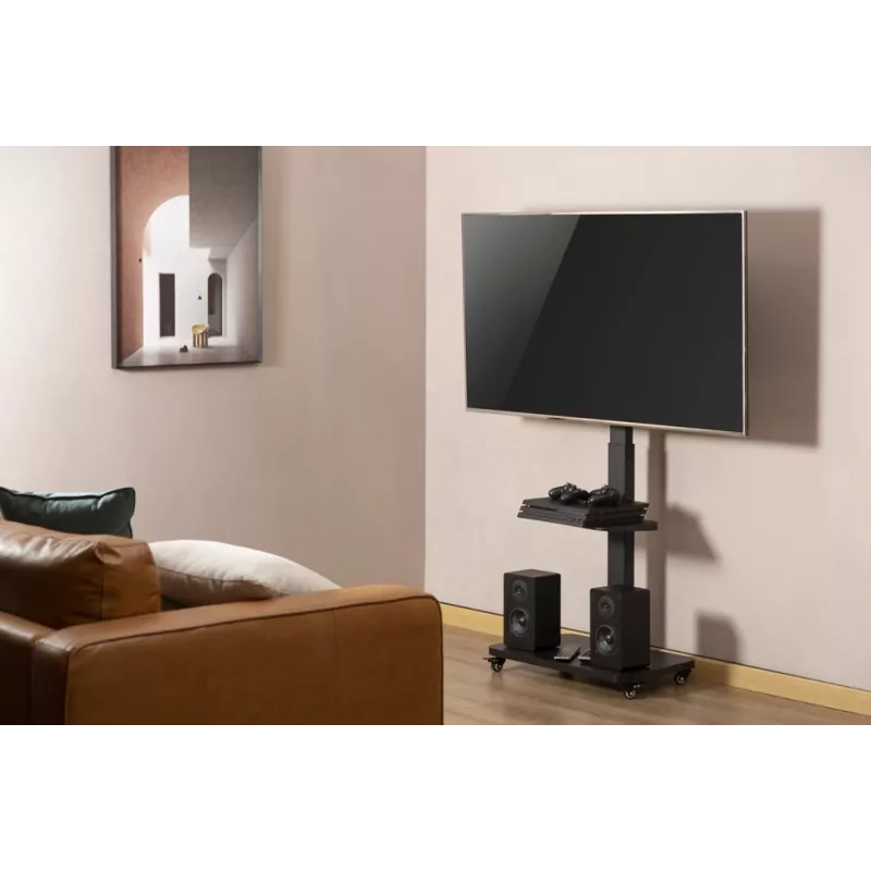 Gembird TVS-75S-02 stojak podłogowy pod telewizor z kółkami, 37 - 75, czarny