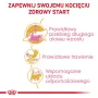 Sucha karma dla kota Royal Canin Maine Coon Kitten 2 kg — drób, białko 36%, tłuszcz 23%