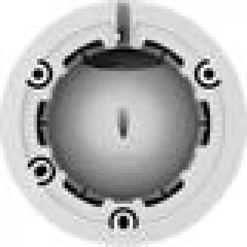 Kamera IP EZVIZ H4 Dome 2304 x 1296 pikseli