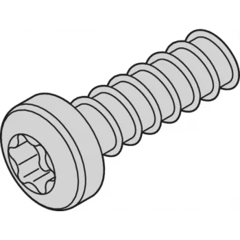 SCHROFF SCREW TORX 2.5X7.3 (100PCS) - Rack-Accessory (24560157)