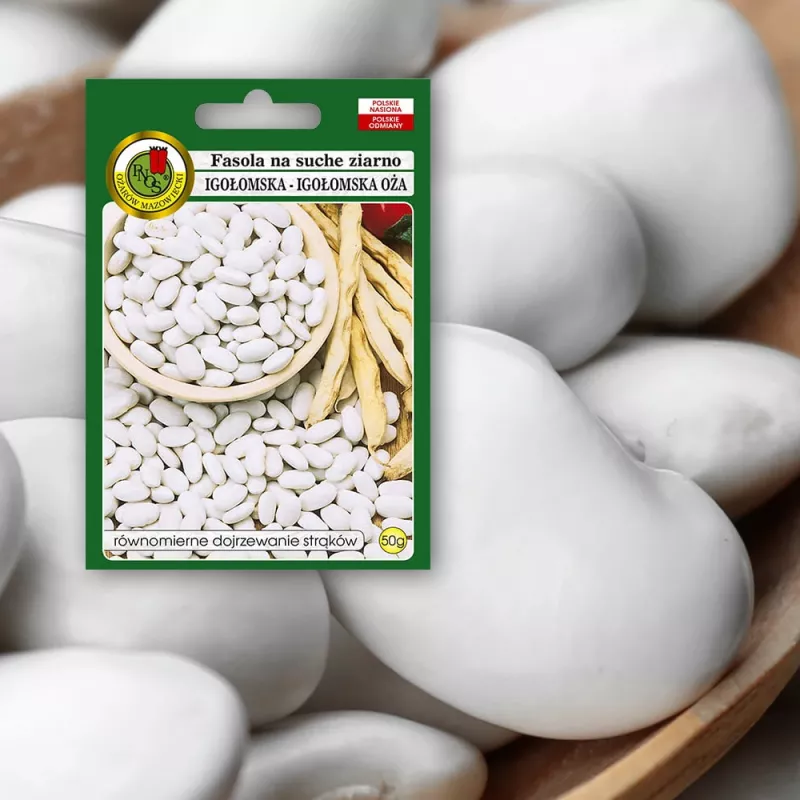 Saszetka nasion Seklos LT PNOS — nasiona fasoli suchej 'Igłomska', 50 g