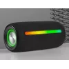 Przenośny głośnik stereo TRACER Stripe Czarny — 10 W RMS, Bluetooth/przewodowy, USB-A i USB-C, MicroSD, wbudowany akumulator (do 5 h)