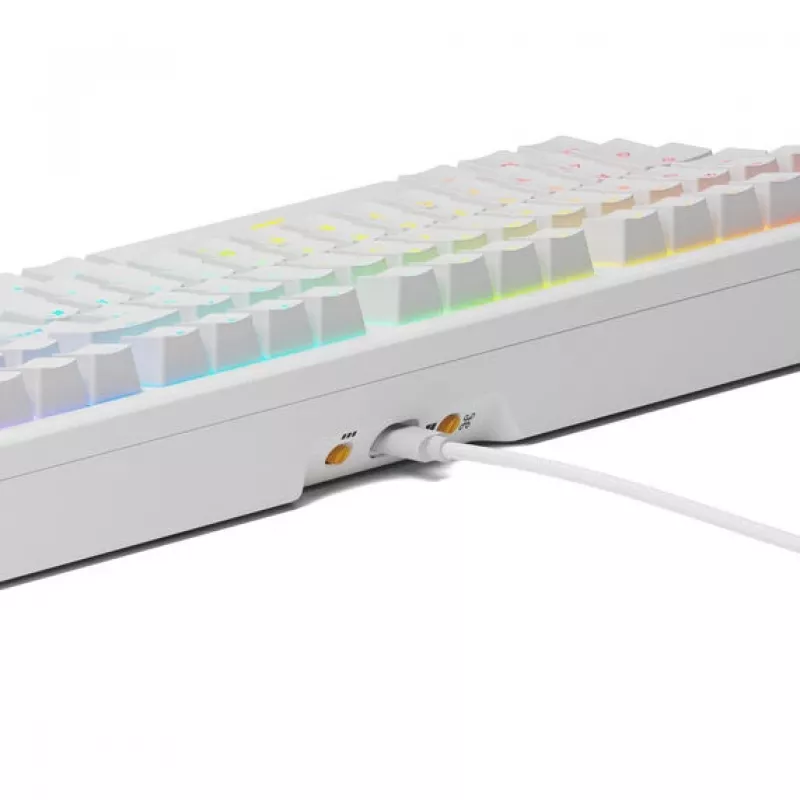 Glorious PC Gaming Race GMMK 3 HE 100% Pre-built Gaming Keyboard weiss LEDs RGB Glorious Fox HE USB