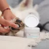 Maść VETEXPERT Paw Protection 75 ml — pielęgnacja łap dla psów i kotów, odpowiednia dla wszystkich ras i w każdym wieku