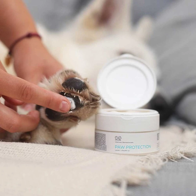 Maść VETEXPERT Paw Protection 75 ml — pielęgnacja łap dla psów i kotów, odpowiednia dla wszystkich ras i w każdym wieku