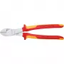 Produkt Knipex 74 06 250